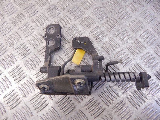Петля крышки багажника BMW 3-series (E46) 51 24 8 254 016
