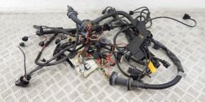 Проводка двигателя BMW 5-series (E60/61) 12 53 7 529 723