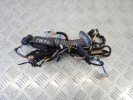 Проводка двери передней левой BMW 3-series (F30/31) 9286225