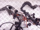 Проводка двигателя BMW 7-series (E65/66) 12 51 7 788 829