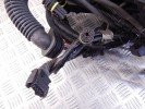 Проводка двигателя BMW X5-series (E53) 12 51 7 503 611