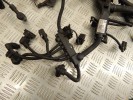 Проводка двигателя BMW 5-series (E60/61) 12 51 7 803 778