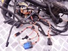 Проводка двигателя BMW X5-series (E70) 12 51 7 566 466