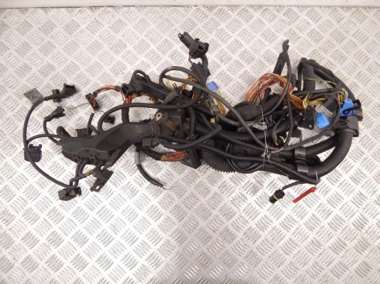 Проводка двигателя BMW X5-series (E53) 12 51 7 513 548