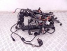 Проводка двигателя BMW 3-series (E90/91/92) 12 51 7 796 079