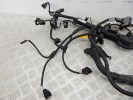 Проводка двигателя BMW 1-series (E87) 12 51 7 811 813
