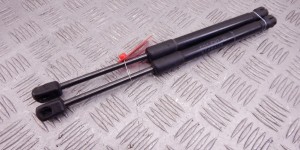 Амортизатор капота BMW 7-series (F01/02) 51 23 7 289 753