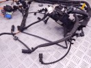 Проводка двигателя BMW 1-series (E87) 12 51 7 549 245