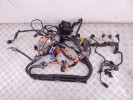 Проводка двигателя BMW 3-series (E90/91/92) 12 51 7 549 280