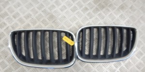 Решетка радиатора BMW X5-series (E53) 51 13 7 113 734