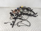 Проводка двигателя BMW 5-series (E39) 12 51 1 439 183