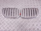 Решетка радиатора BMW X5-series (E53) 51 13 7 124 815