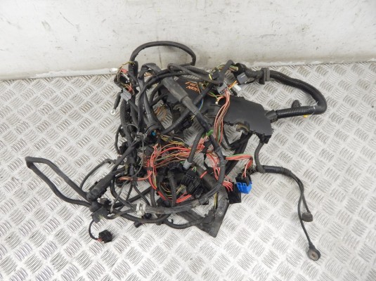 Проводка двигателя BMW 3-series (E46) 12 51 7 512 079 Проводка двигателя BMW 3-series (E46) 12 51 7 512 079