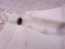 Бачок омывателя BMW 5-series (F10/11) 61 66 7 269 668