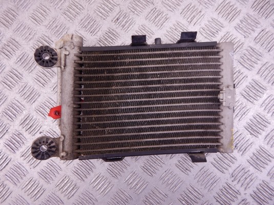 Радиатор масляный BMW X3-series (E83) 17 21 3 448 627