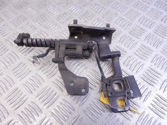 Петля крышки багажника BMW 3-series (E46) 51 24 8 254 016