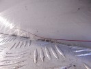 Дверь передняя левая BMW X5-series (E53) 41 51 8 256 823