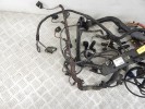 Проводка двигателя BMW 5-series (E60/61) 12 51 7 803 357