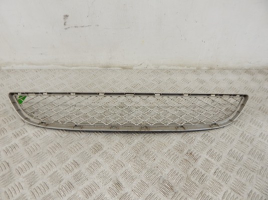 Заглушка (решетка) в бампер передний BMW X6-series (E71) 51 11 7 176 282 Заглушка (решетка) в бампер передний BMW X6-series (E71) 51 11 7 176 282