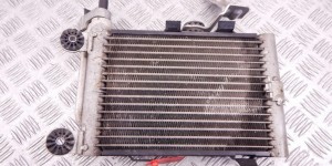Радиатор масляный BMW X3-series (E83) 17 21 3 448 627