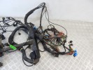 Проводка двигателя BMW X5-series (E53) 12 51 1 438 902