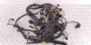 Проводка двигателя BMW X3-series (E83) 12 51 3 448 539