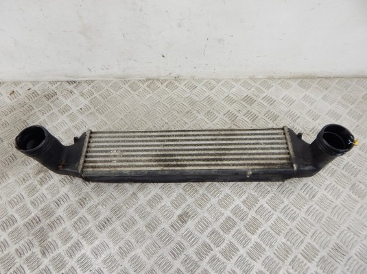 Интеркулер BMW X3-series (E83) 17 51 7 789 793