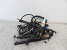 Проводка двигателя BMW 5-series (E60/61) 12 53 7 529 699