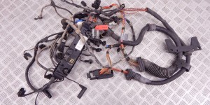 Проводка двигателя BMW X5-series (E53) 12 51 7 796 818