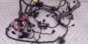 Проводка двигателя BMW 3-series (E46) 12 51 7 540 370