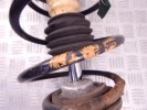 Стойка передняя правая BMW 5-series (E39) 31 31 1 094 041