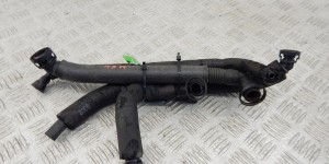 Патрубок вентиляции картера BMW X5-series (E53) 11 61 7 533 398