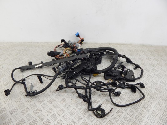 Проводка двигателя BMW X5-series (E70) 12 51 7 799 662