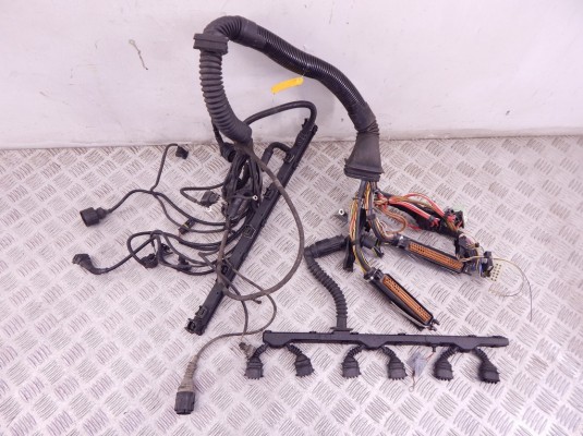 Проводка двигателя BMW 5-series (E39) 12 51 1 433 360