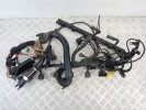 Проводка двигателя BMW 5-series (E39) 12 51 1 744 589