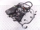 Проводка двигателя BMW 5-series (F10/11) 12 51 8 513 417