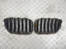 Решетка радиатора BMW X5-series (E53) 51 13 7 113 734