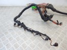 Проводка двигателя BMW 5-series (E39) 12 51 2 249 419