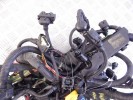 Проводка двигателя BMW 3-series (E46) 12 53 7 540 367
