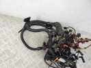 Проводка двигателя BMW X5-series (E53) 12 51 7 800 942