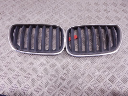 Решетка радиатора BMW X5-series (E53) 51 13 7 113 734