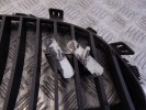 Решетка радиатора BMW 5-series (E60/61) 51 13 7 065 702