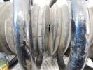 Стойка передняя правая BMW X5-series (E53) 31 31 6 764 602