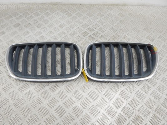 Решетка радиатора BMW X5-series (E53) 51 13 7 124 815