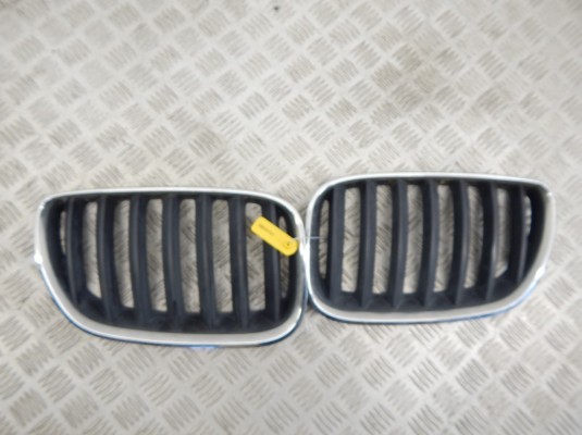 Решетка радиатора BMW X5-series (E53) 51 13 7 113 734