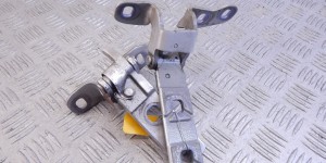 Петля крышки багажника BMW X5-series (E70) 41 62 7 170 921