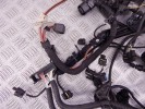 Проводка двигателя BMW X1-series (F48) 12 51 8 617 697