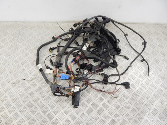 Проводка двигателя BMW X1-series (E84) 12 51 8 507 748