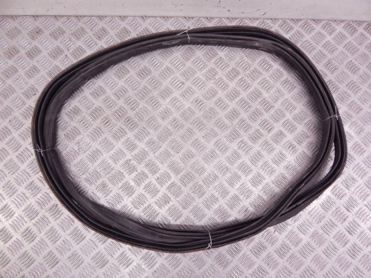 Уплотнитель багажника BMW X5-series (E70) 51 76 7 177 284