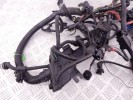 Проводка двигателя BMW 3-series (E46) 12 51 7 540 370